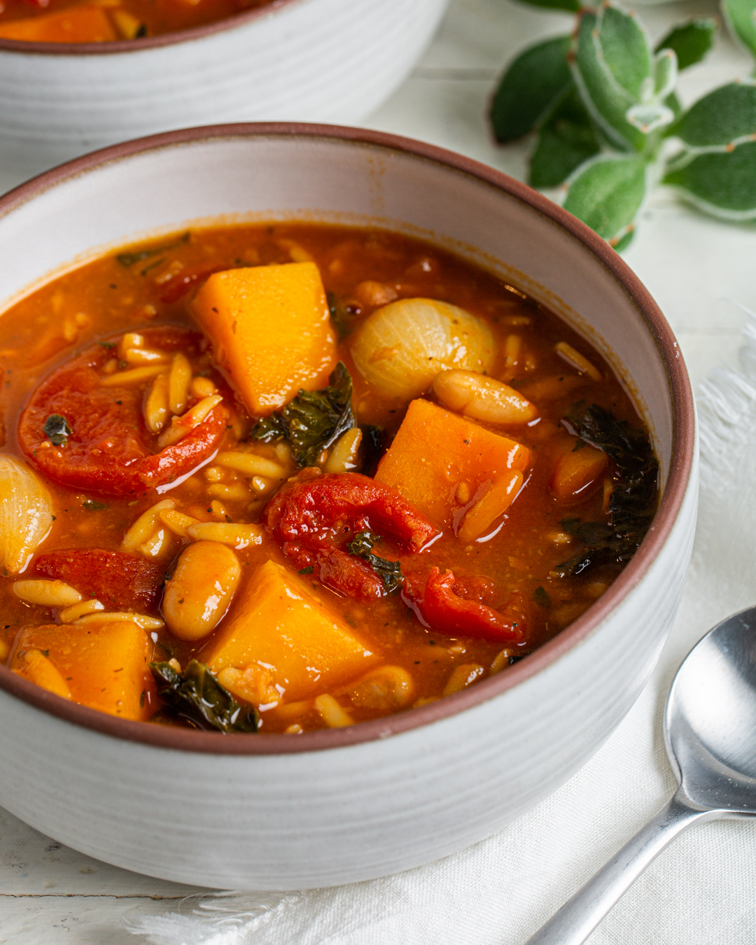 Squash and White Bean Stew (Vegan)