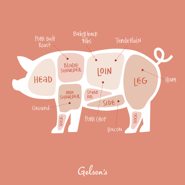 Graph of Pig with different body parts named