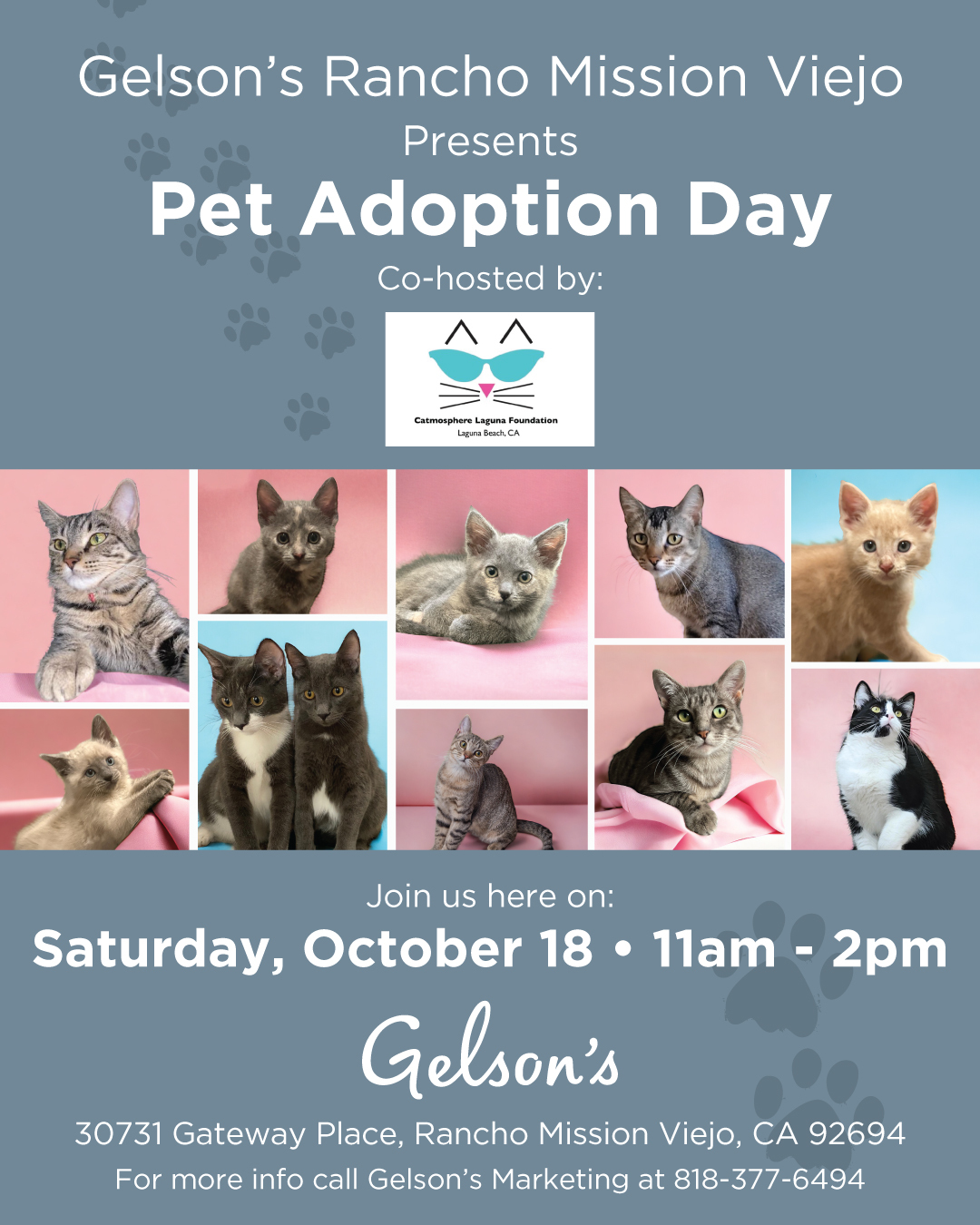 Pet Adoption RMV Oct18 1080x1350