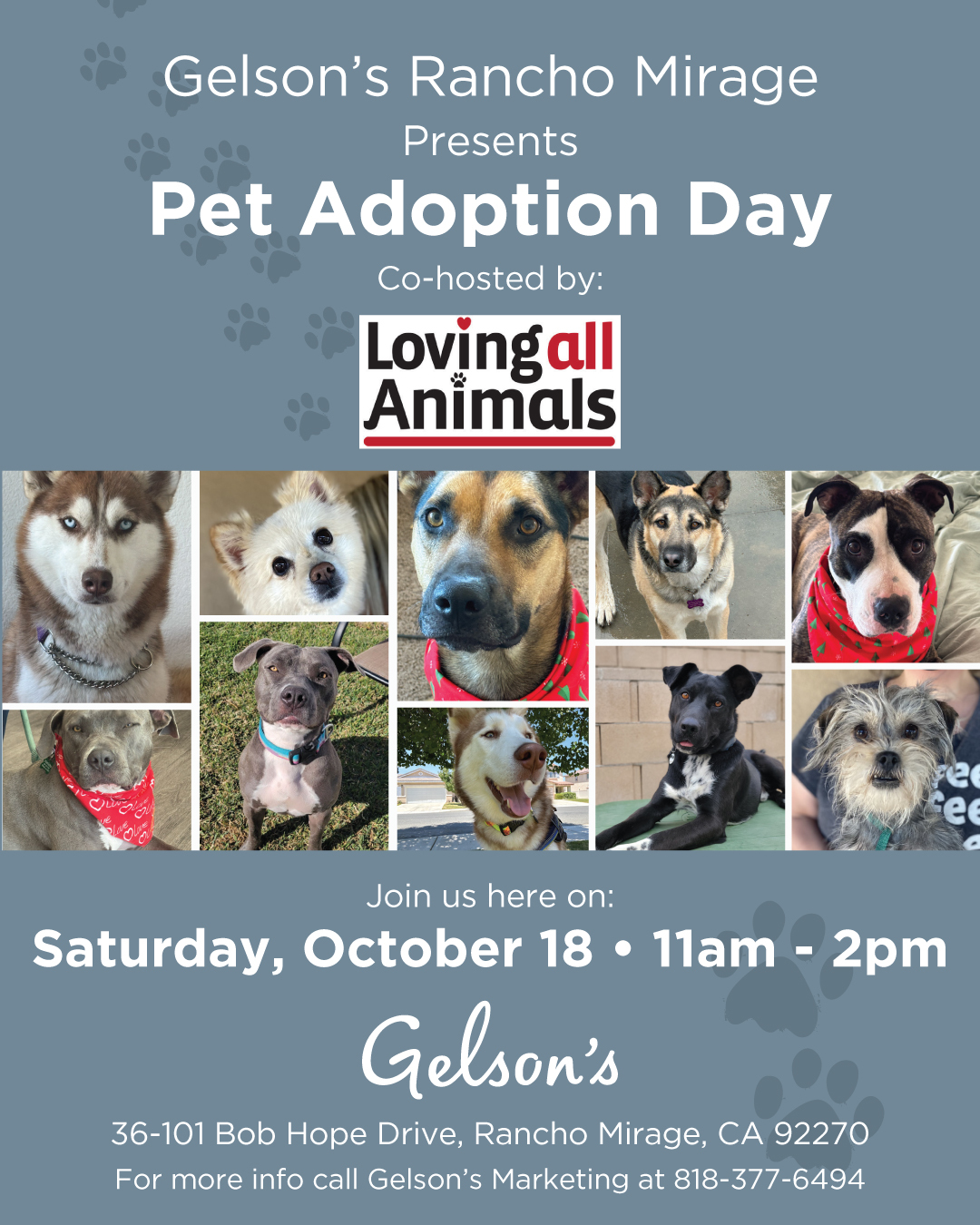 Pet Adoption Rancho Mirage Oct18 1080x1350